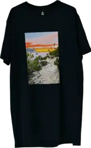 Transfer Printing Transfer Printing